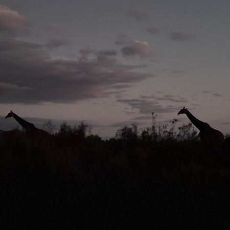 Wildehondekloof Game Lodge Matjiesrivier  Dış mekan fotoğraf