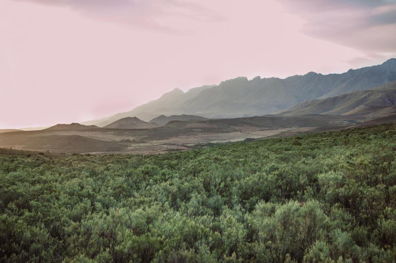 Wildehondekloof Game Lodge Matjiesrivier  Dış mekan fotoğraf