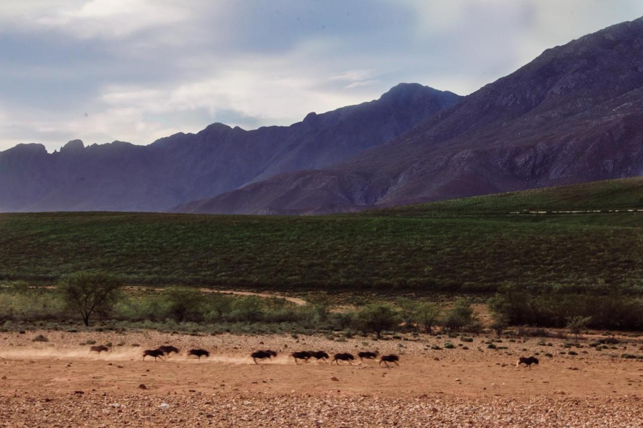 Wildehondekloof Game Lodge Matjiesrivier  Dış mekan fotoğraf