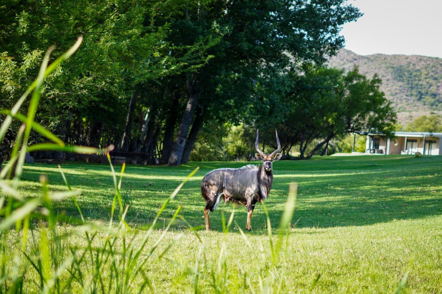 Wildehondekloof Game Lodge Matjiesrivier  Dış mekan fotoğraf