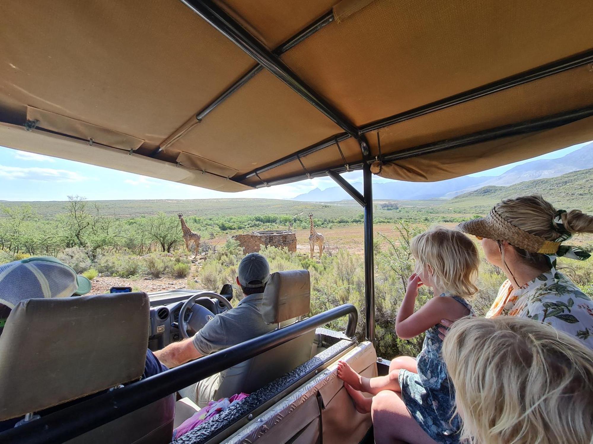 Wildehondekloof Game Lodge Matjiesrivier  Dış mekan fotoğraf