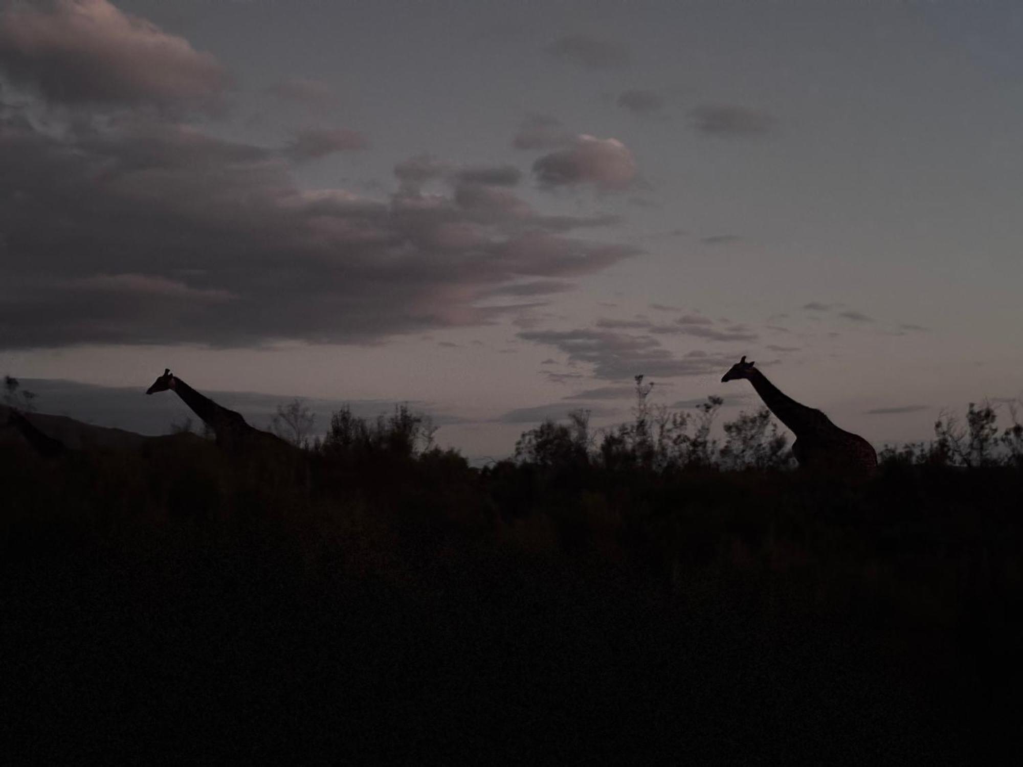 Wildehondekloof Game Lodge Matjiesrivier  Dış mekan fotoğraf