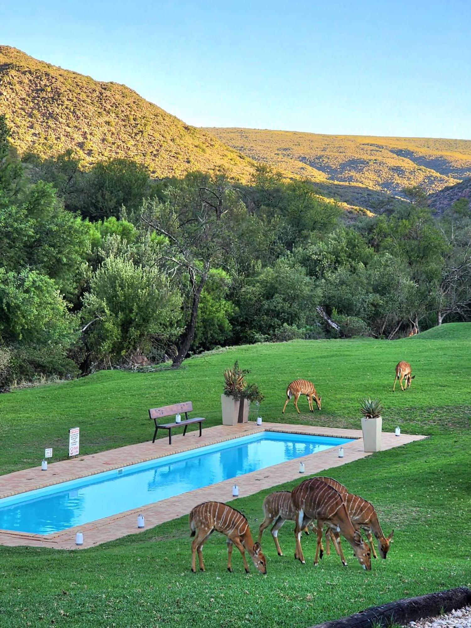 Wildehondekloof Game Lodge Matjiesrivier  Dış mekan fotoğraf